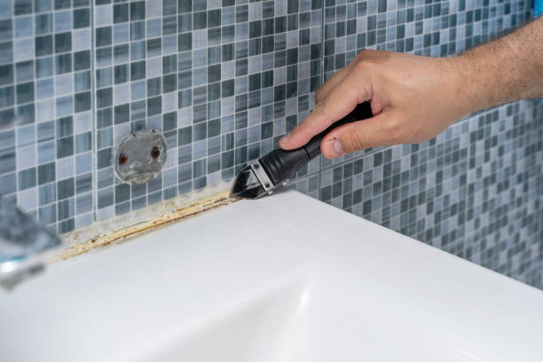 Best Office Mold Removal Services  in Line Acres, MO